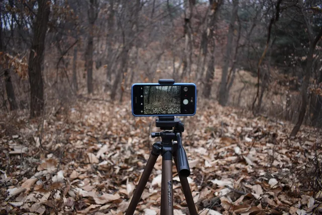 smartphone, camera, photo, video, filming, cell phone, tripod, movie, shooting, tripod, tripod, tripod, tripod, tripod. How to write a UGC creator brief for UK campaigns